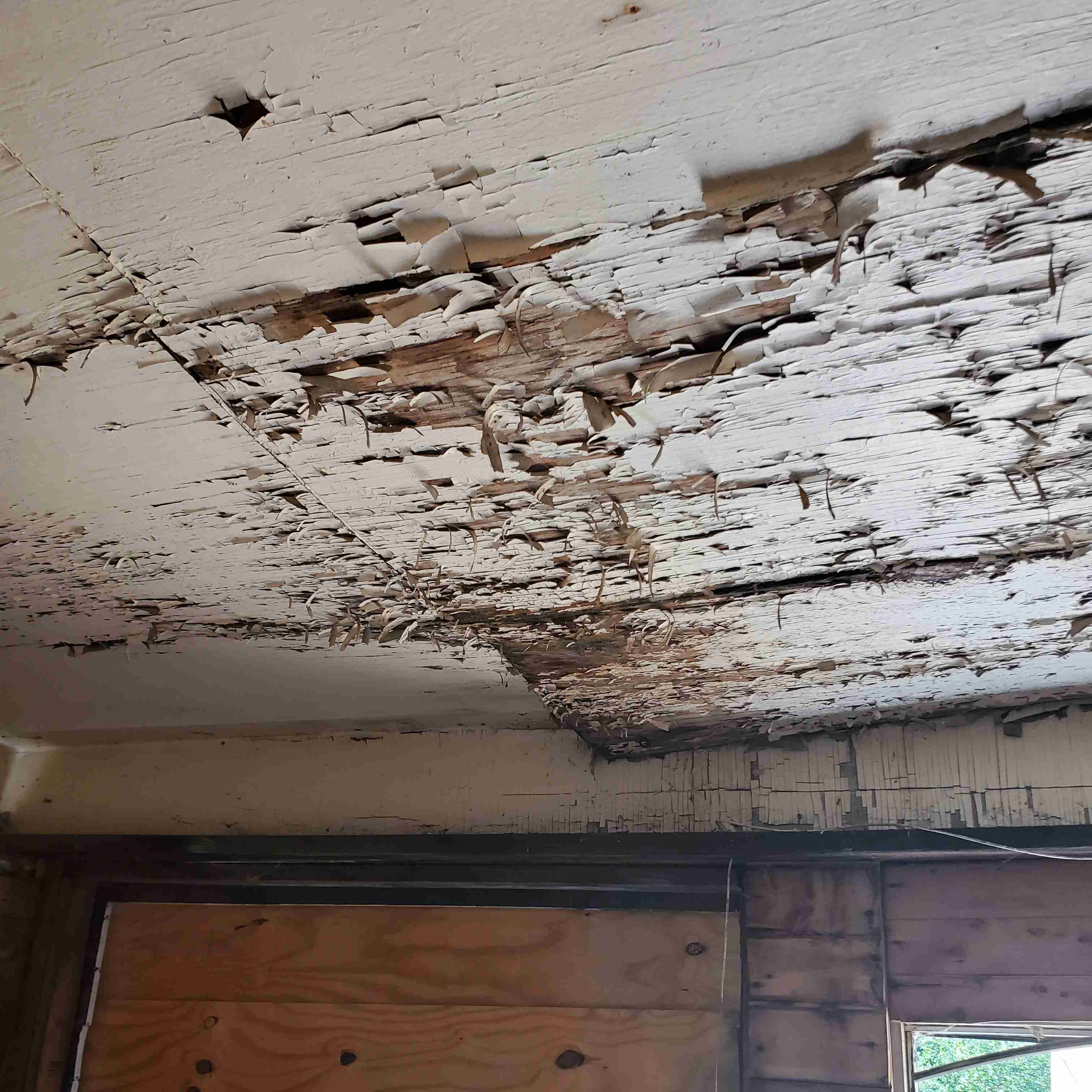 20200812_125909 (2).jpg